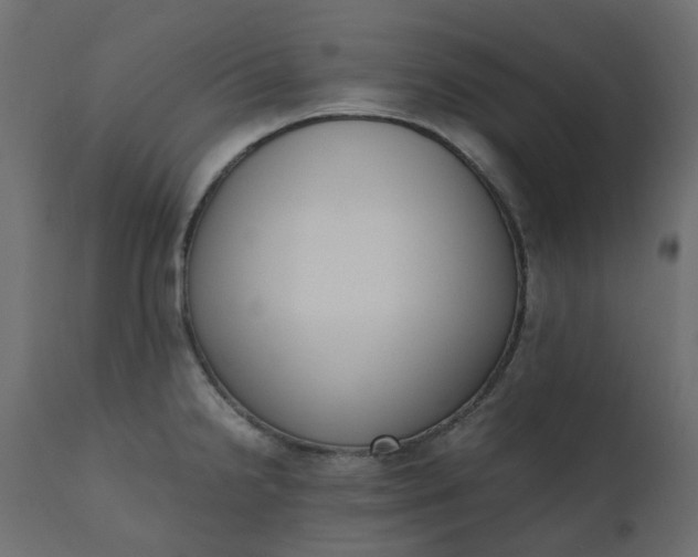 X0000110731238200906261511