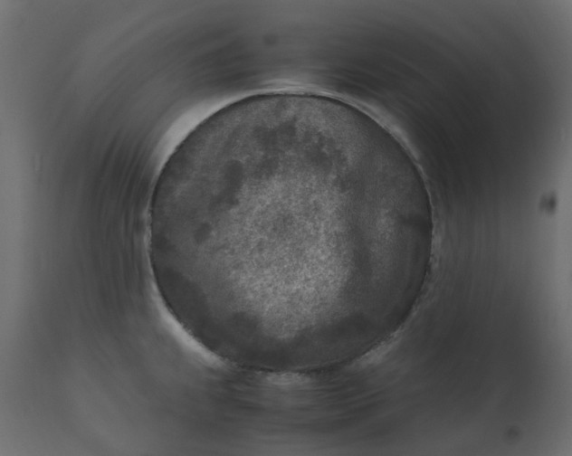 X0000110731239200906261511