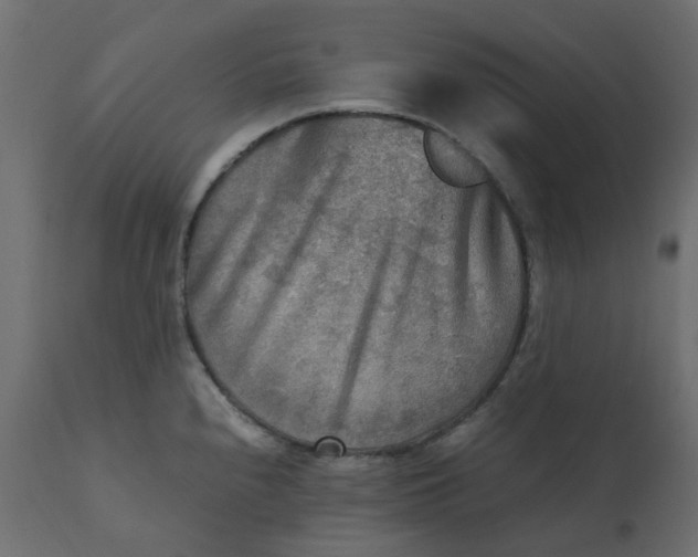 X0000110731240200906261511