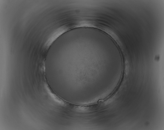 X0000110731241200906261511