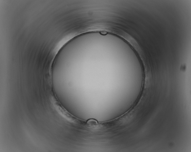 X0000110731242200906261511