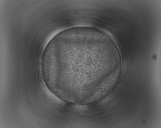 X0000110731243200906261511