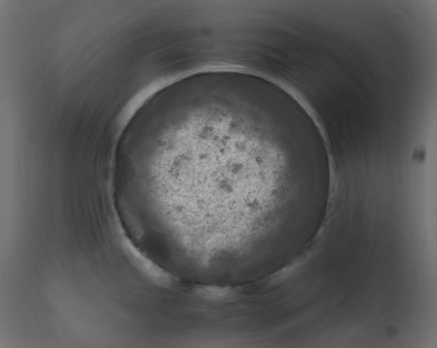 X0000110731245200906261511