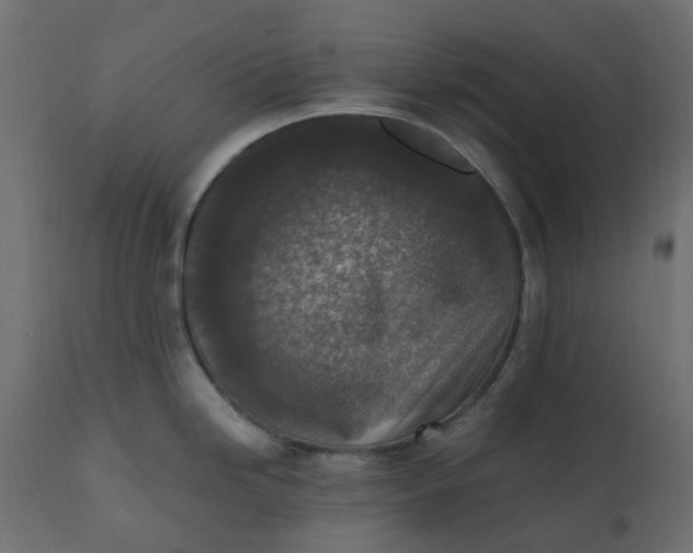 X0000110731246200906261511