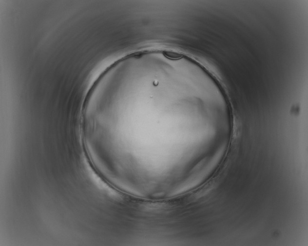 X0000110731247200906261511