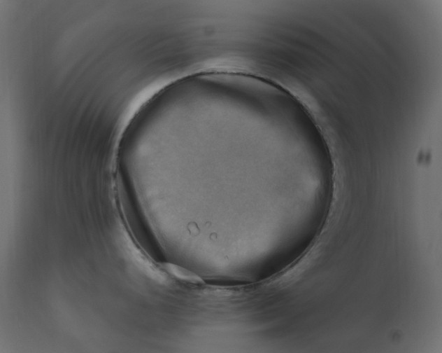 X0000110731248200906261511