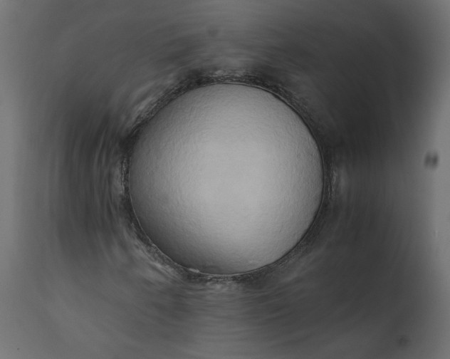 X0000110731250200906261510