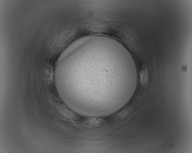 X0000110731251200906261510