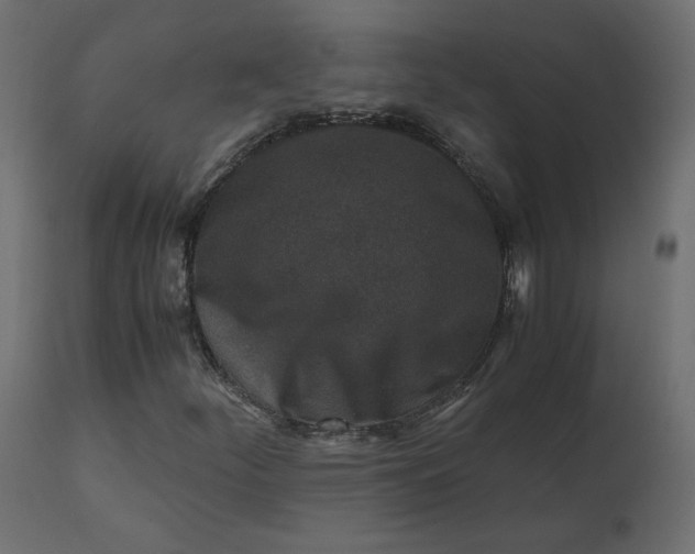 X0000110731252200906261510