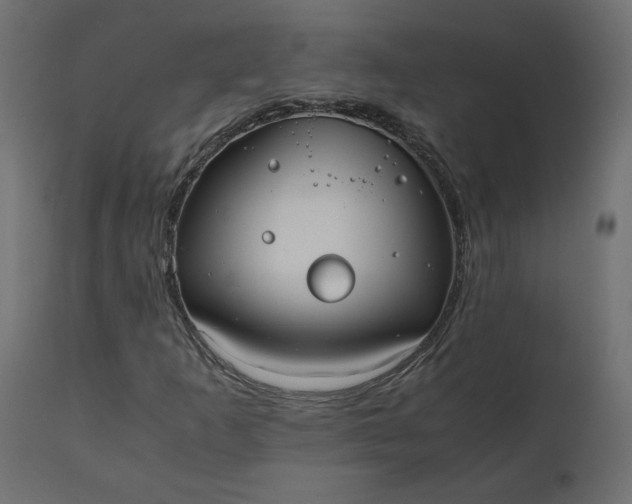 X0000110731253200906261510