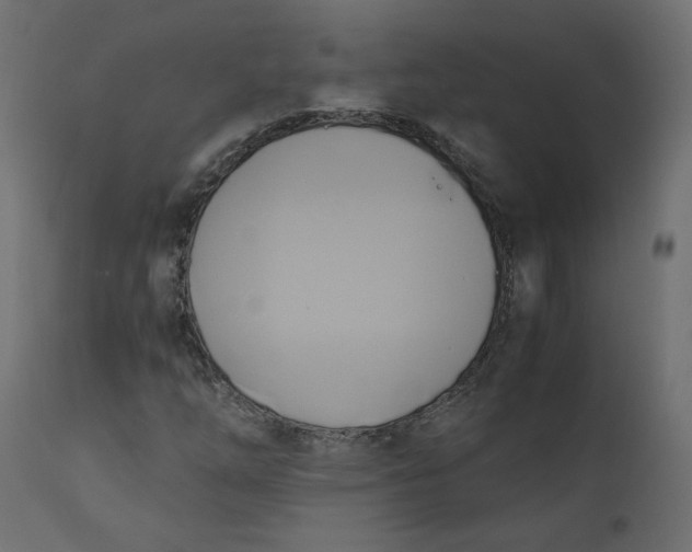 X0000110731254200906261510