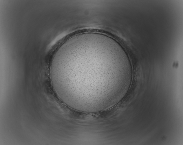 X0000110731255200906261510