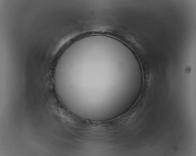 X0000110731256200906261510