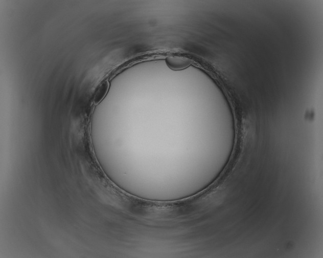 X0000110731257200906261510