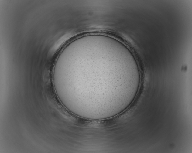 X0000110731259200906261510