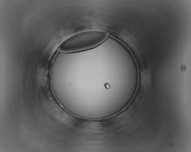 X0000110731260200906261510