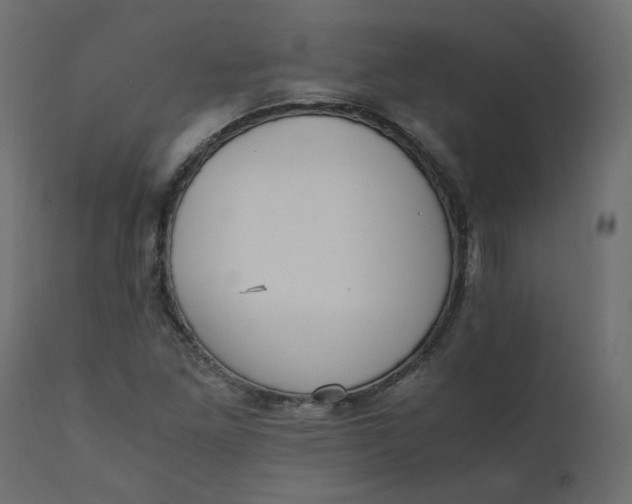 X0000110731261200906261510