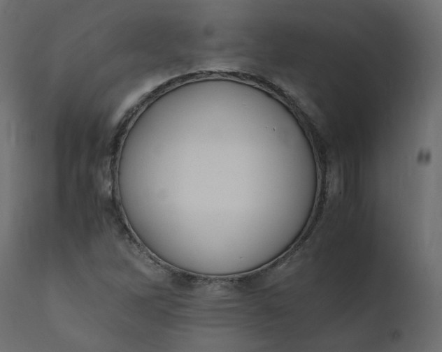 X0000110731262200906261510