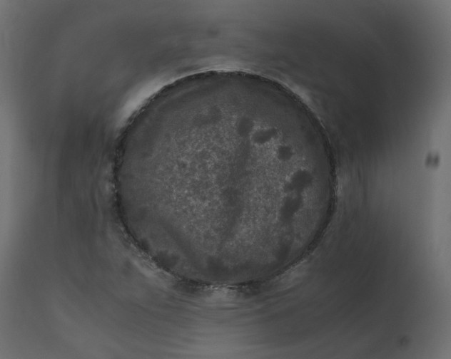 X0000110731263200906261510