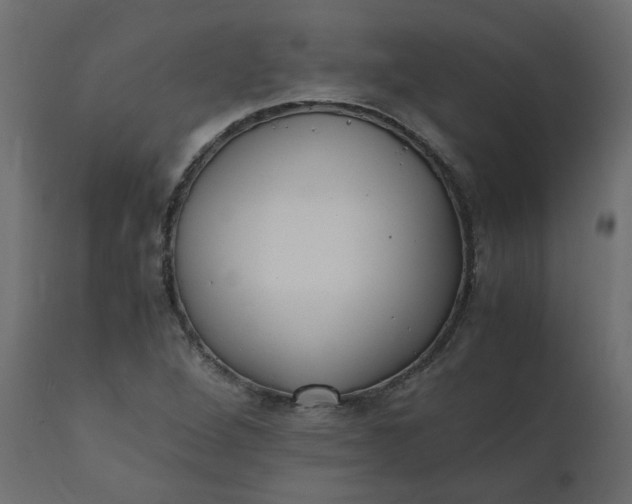 X0000110731264200906261510