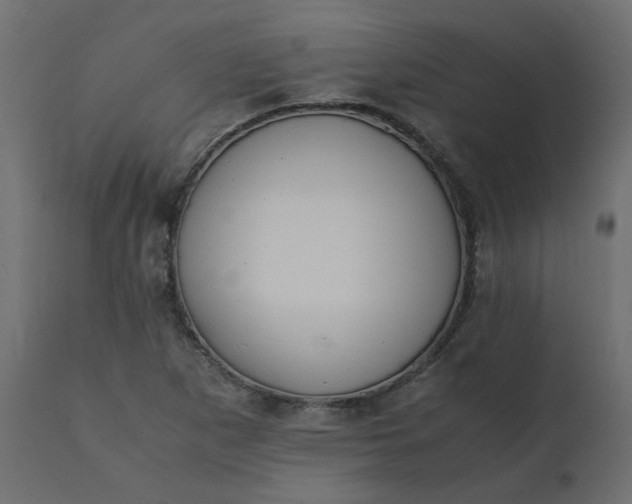 X0000110731265200906261510