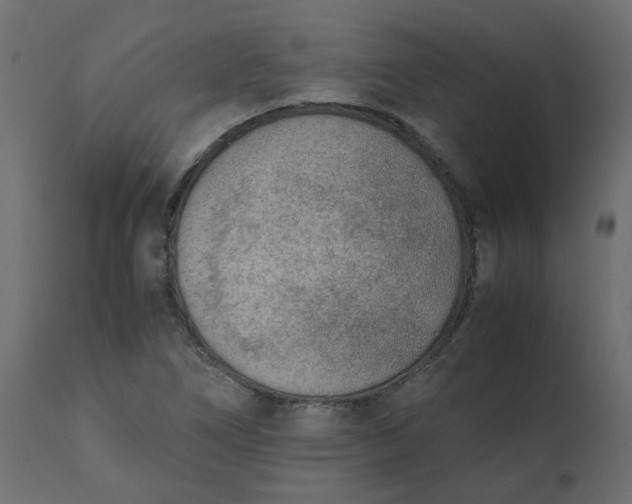 X0000110731266200906261510