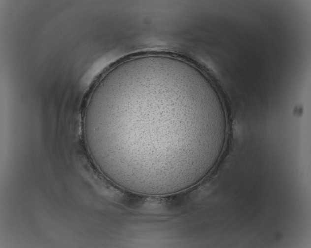 X0000110731267200906261510