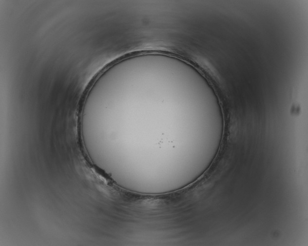 X0000110731268200906261510