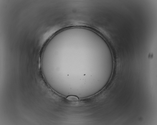 X0000110731269200906261510