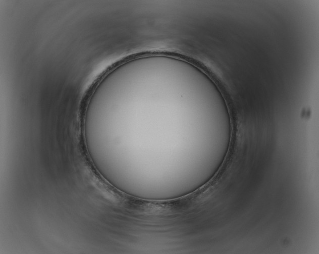 X0000110731270200906261510