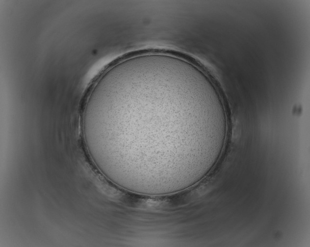 X0000110731271200906261510