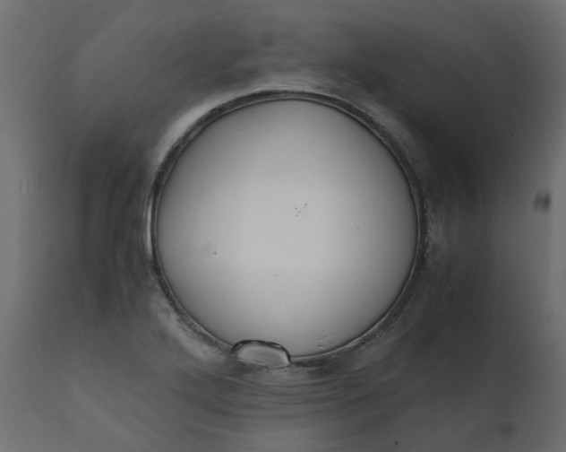 X0000110731272200906261510