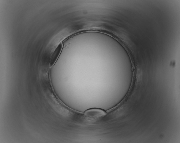 X0000110731273200906261510