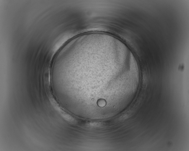 X0000110731274200906261510