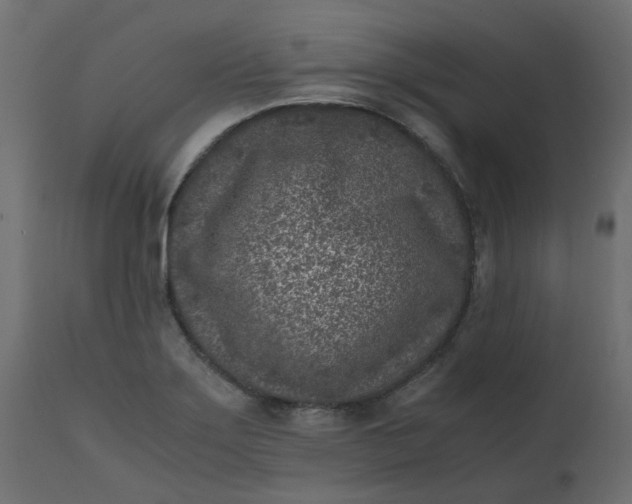 X0000110731275200906261510