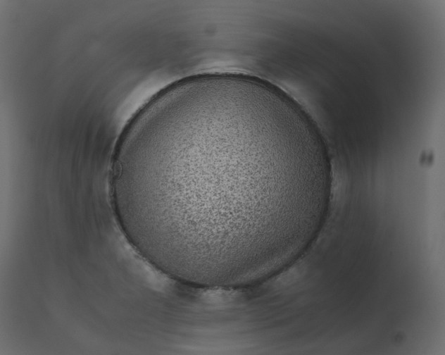 X0000110731277200906261510