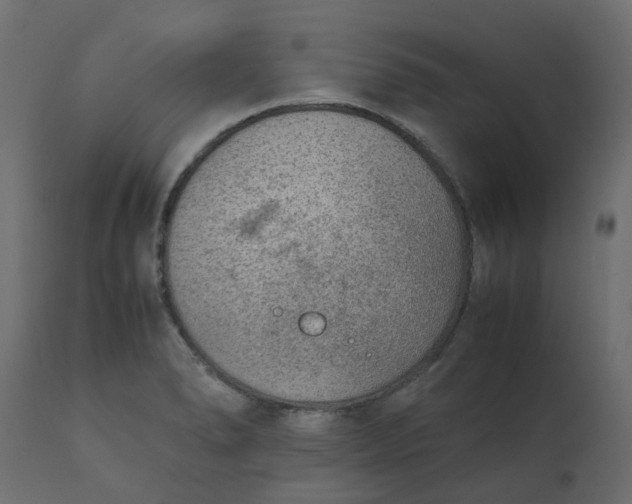 X0000110731278200906261510