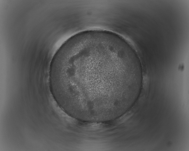 X0000110731279200906261510