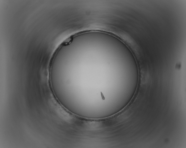 X0000110731280200906261510