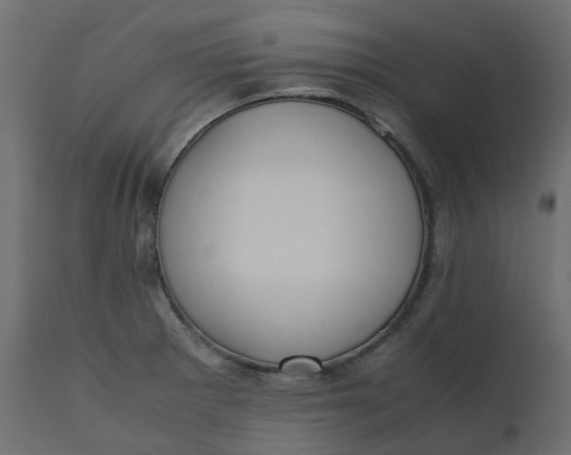 X0000110731281200906261510