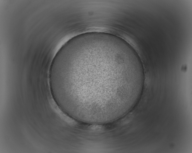 X0000110731283200906261510