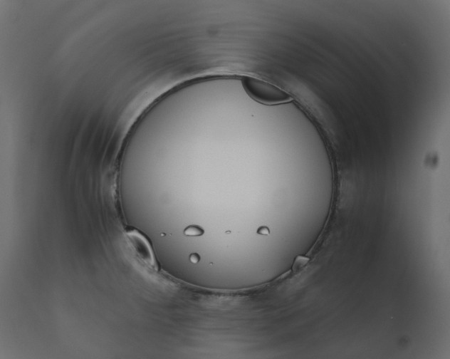 X0000110731284200906261510