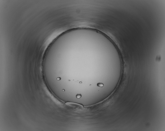 X0000110731285200906261510