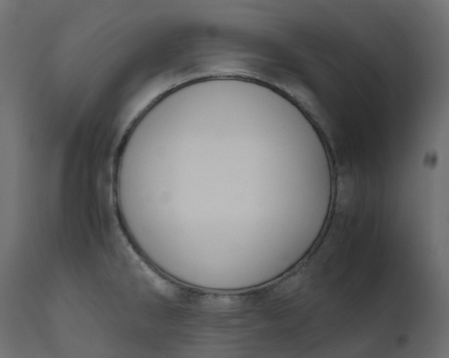 X0000110731286200906261510