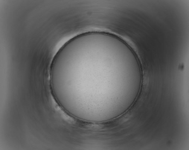 X0000110731287200906261510