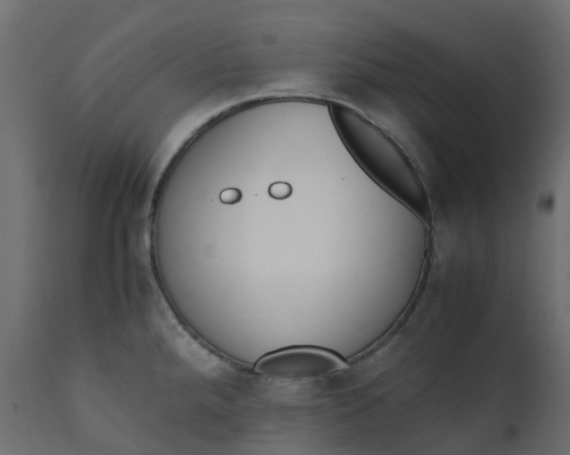 X0000110731288200906261510