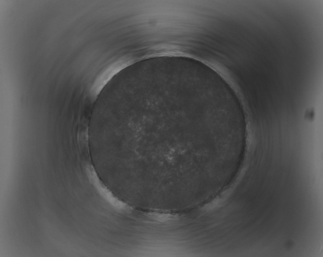 X0000110731289200906261510