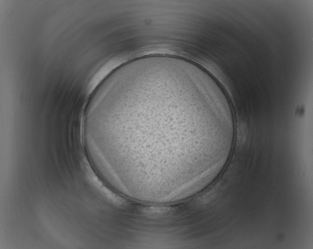 X0000110731290200906261510