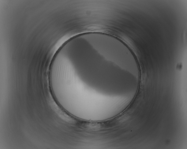 X0000110731291200906261510