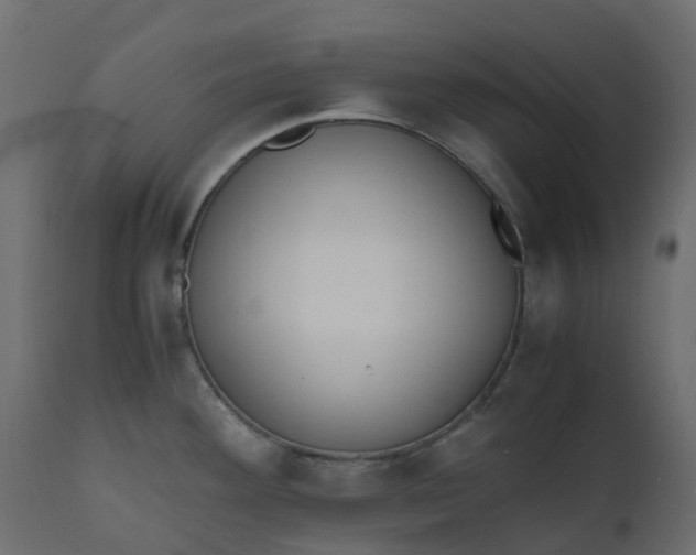 X0000110731292200906261510